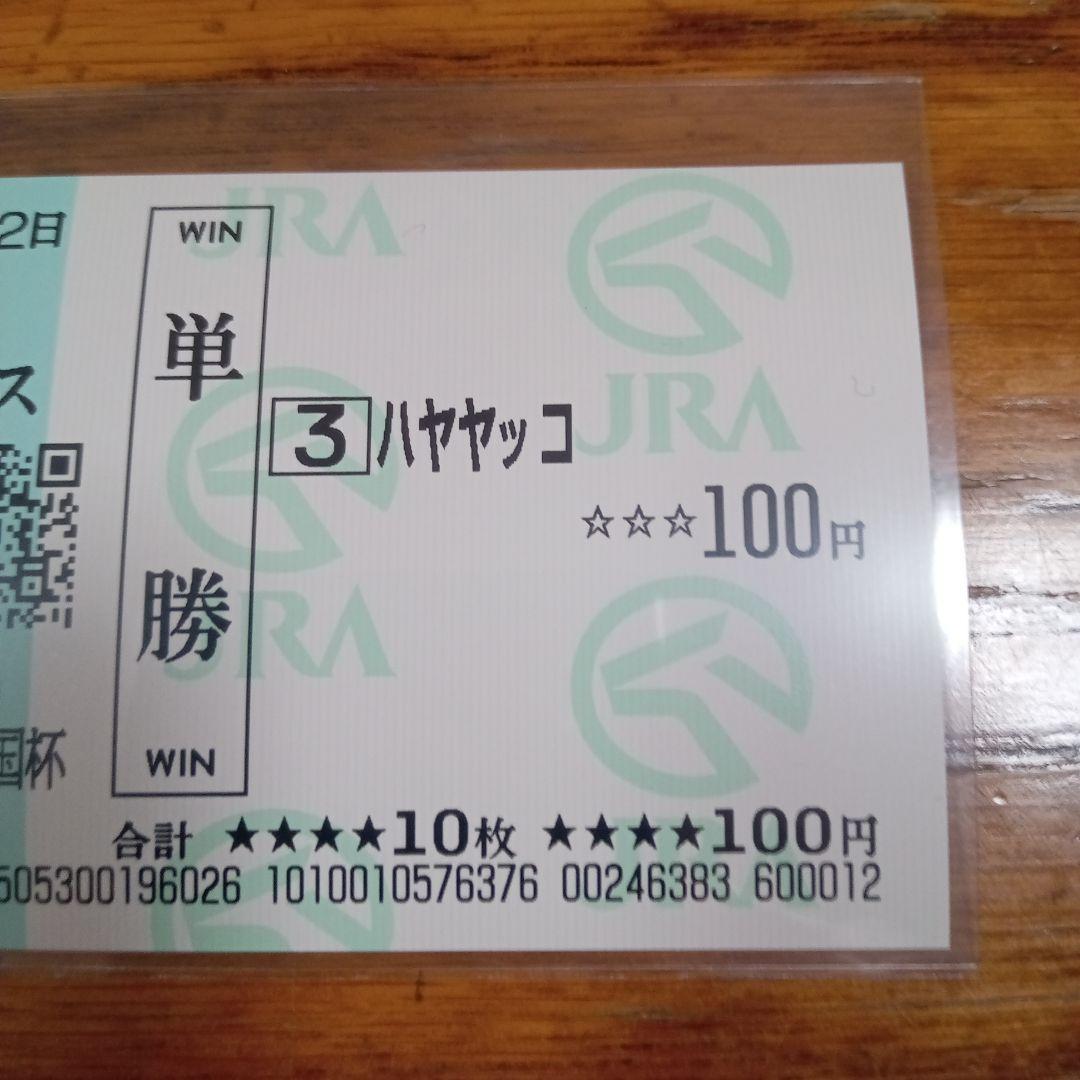 ハヤヤッコ　24年　アルゼンチン共和国杯　現地的中単勝馬券　希少！