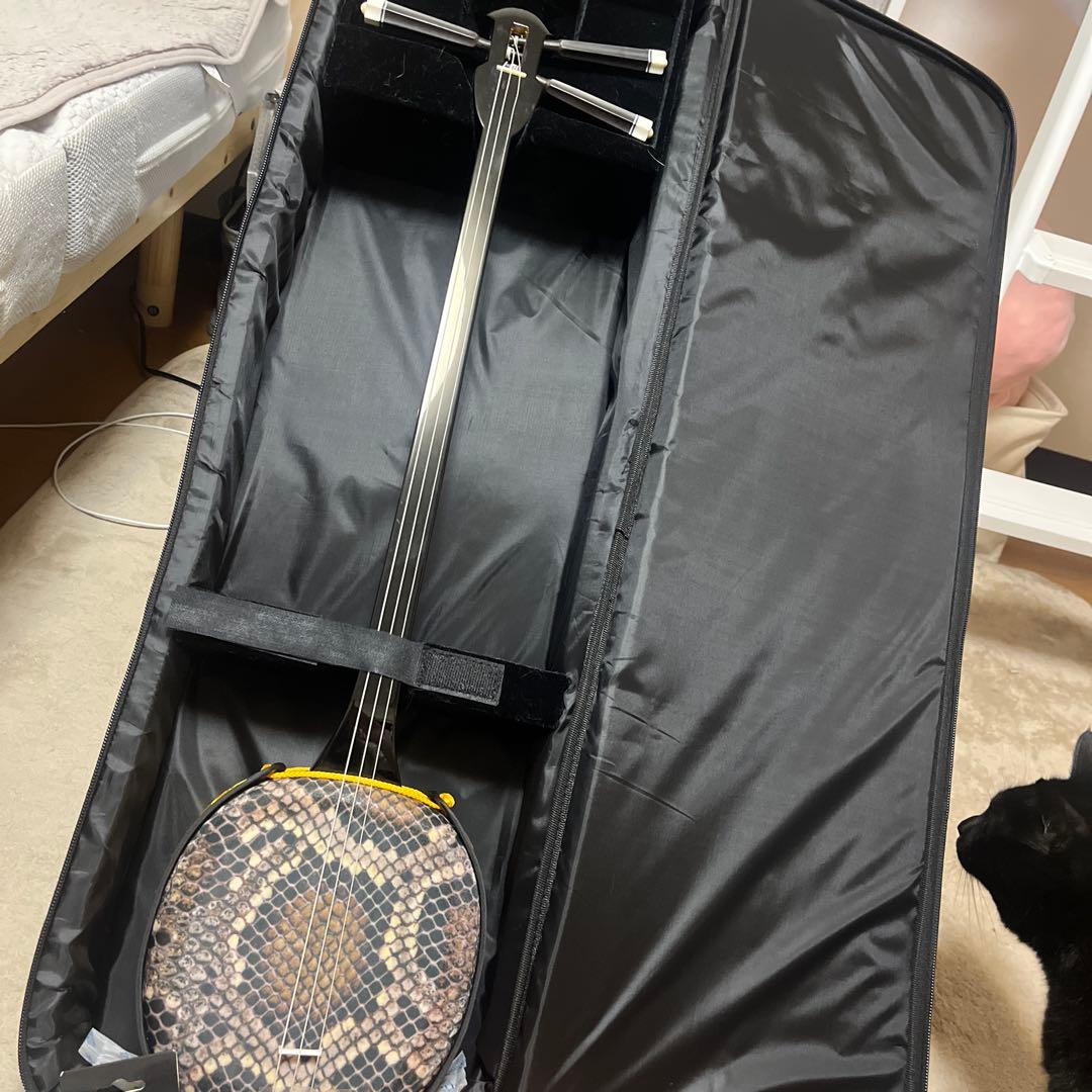 ヘビ革模様 三線本体 専用ケース付き 初心者向け