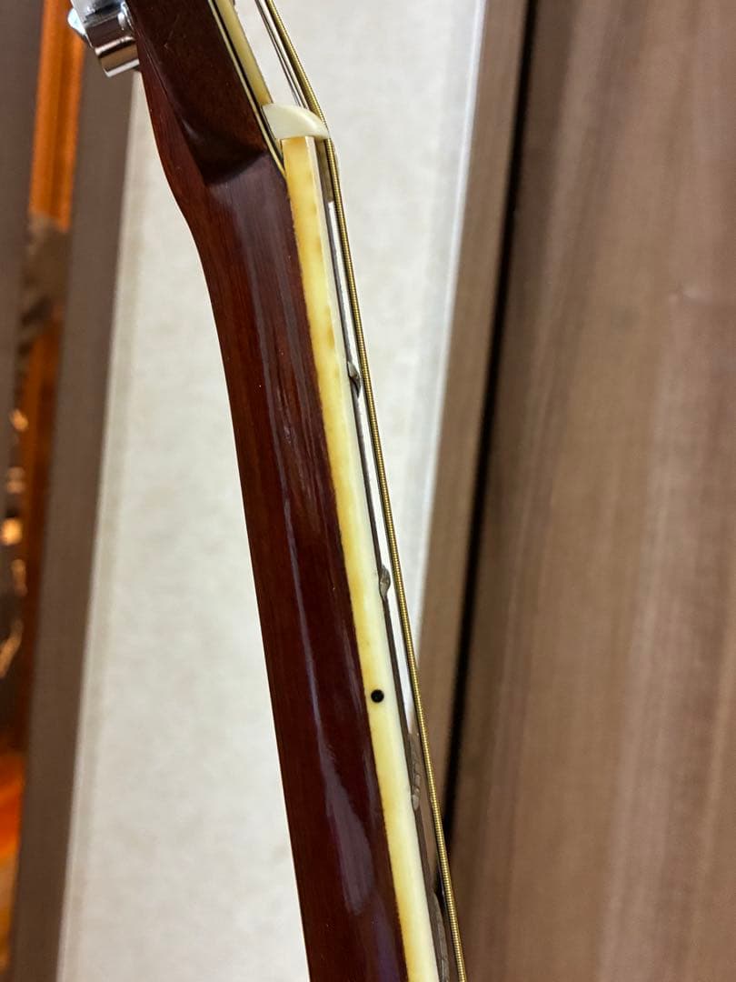 Morris W-50 アコースティックギター