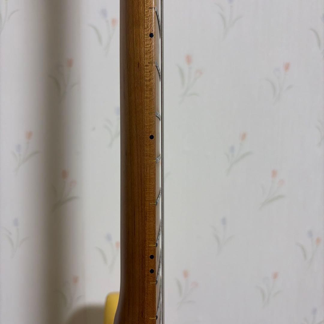 Bacchus バッカス テレキャスター エレキギター