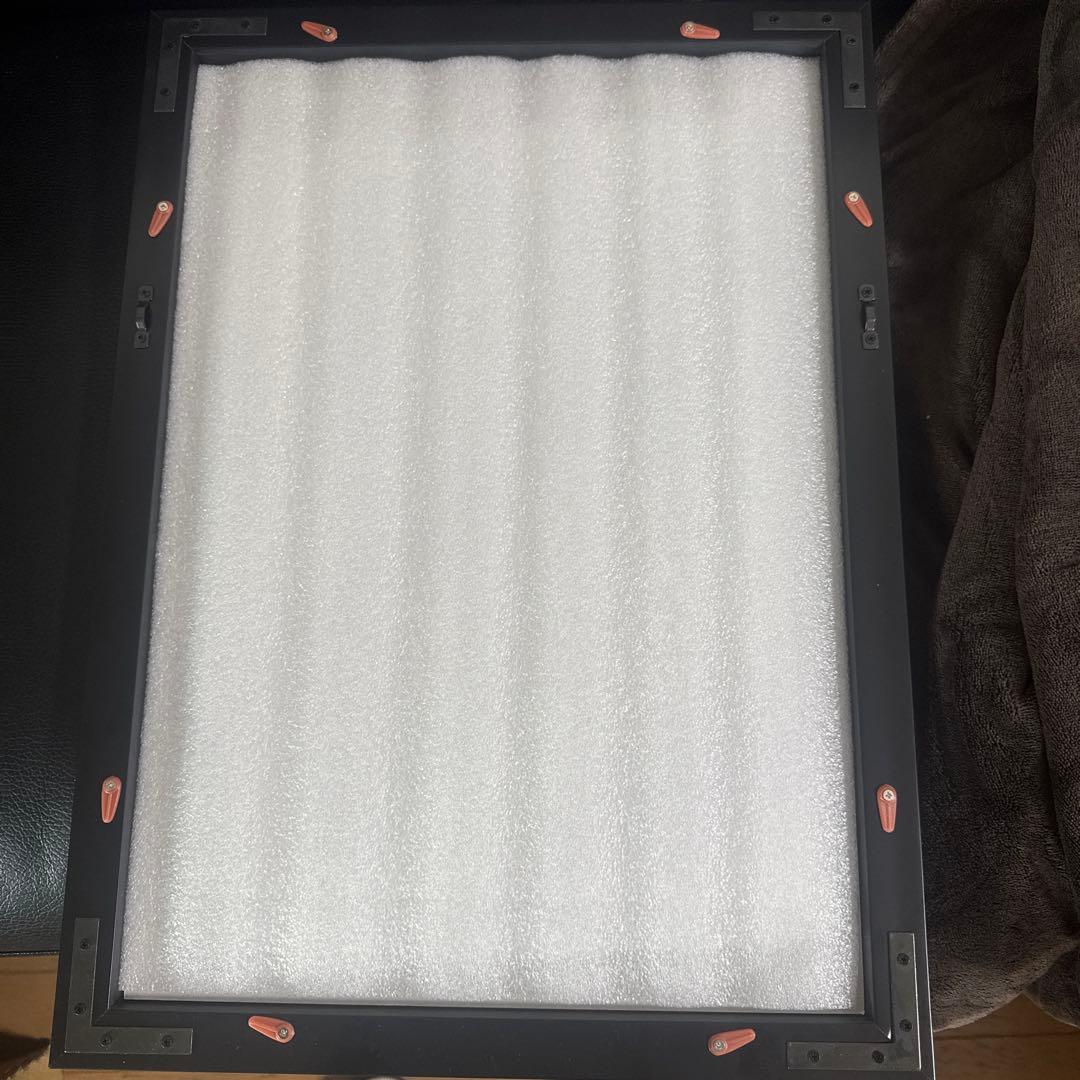 ジャパンラグビー トップリーグ フレーム