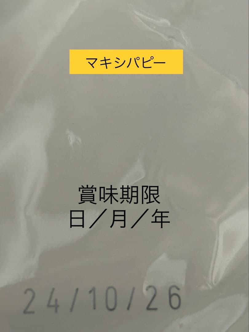  CANIN マキシパピー 16kg　大型犬　子犬用