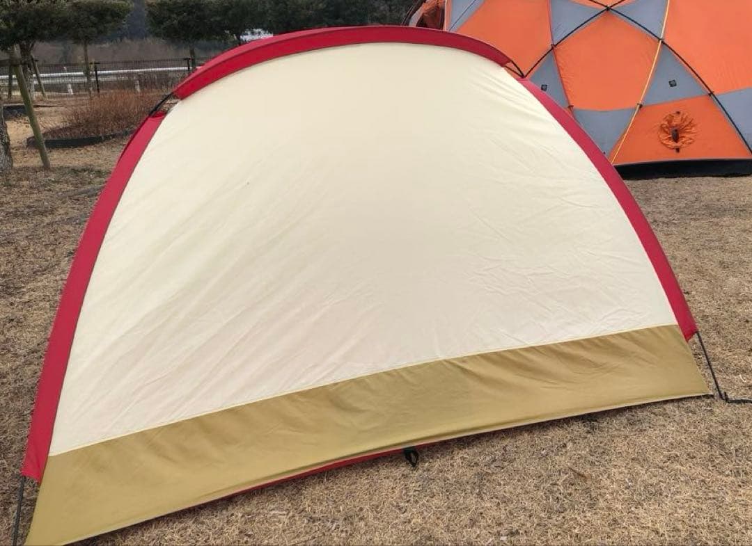 極上品⭐︎ Moss Stargazer モステント・スターゲイザー