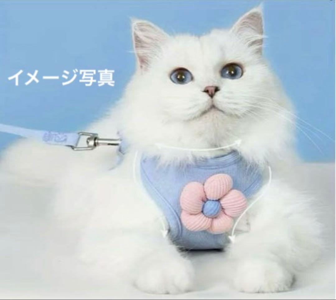 D2／イエロー ハーネスリード 花装飾付きMサイズ