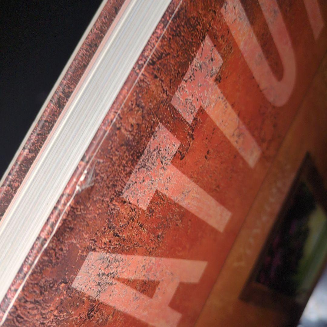 ミッシェル・バテュ 画集 BATTUT Voyages 2000年