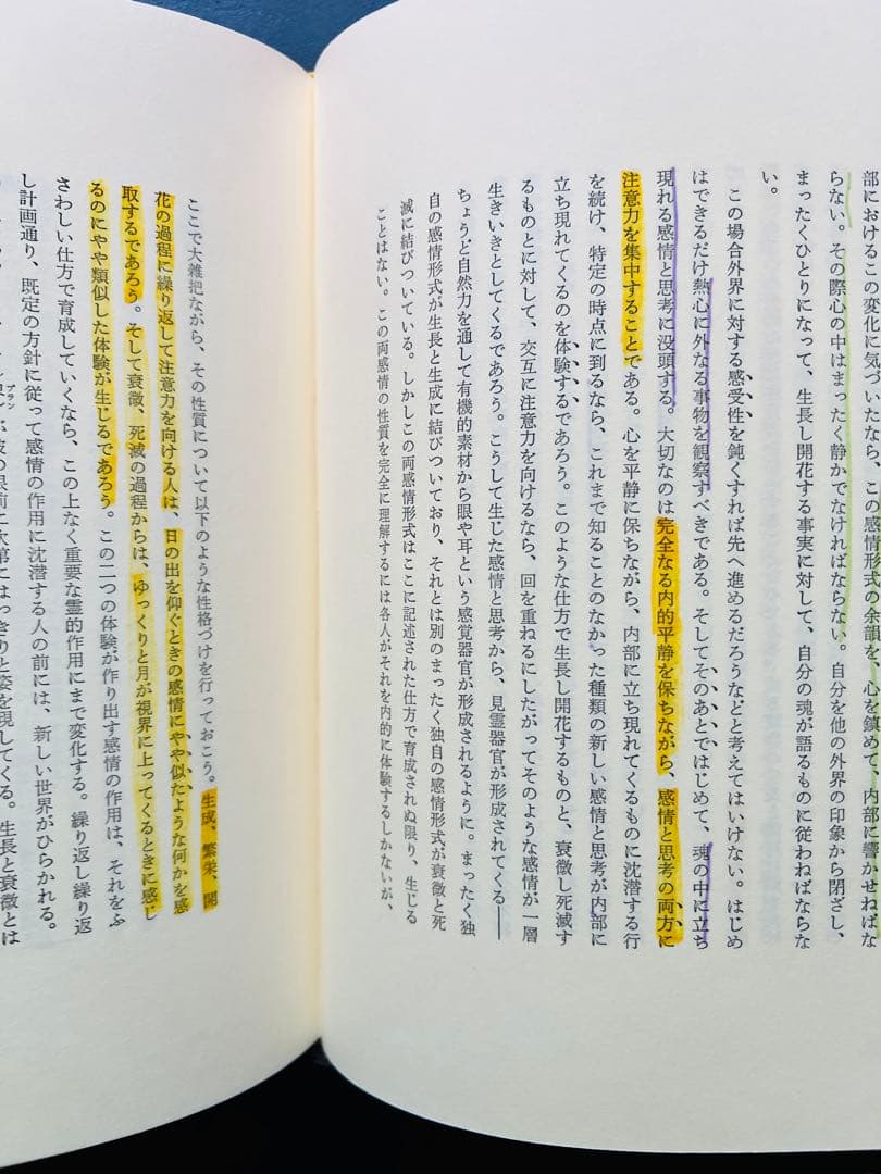 【付録つき】シュタイナー　自己認識・瞑想関連書籍3冊セット