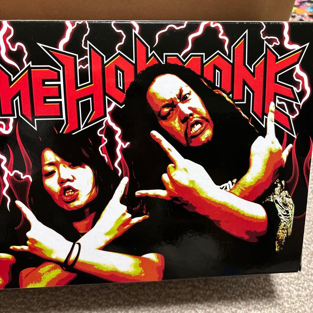 マキシマムザホルモン　フィギュア　新品