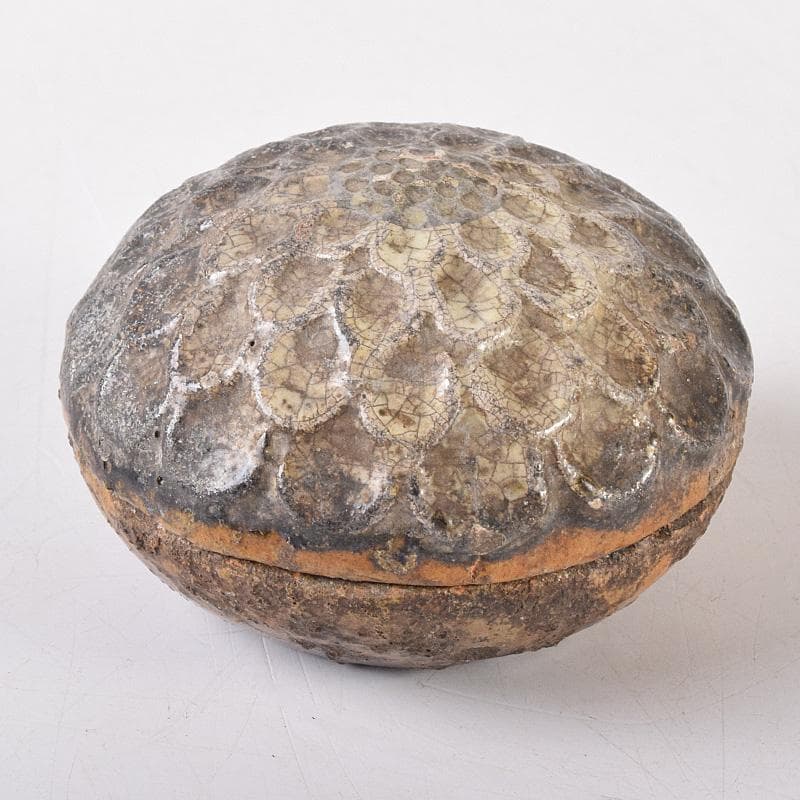 茶道具　大樋焼　菊形　香合　時代箱　N　7468