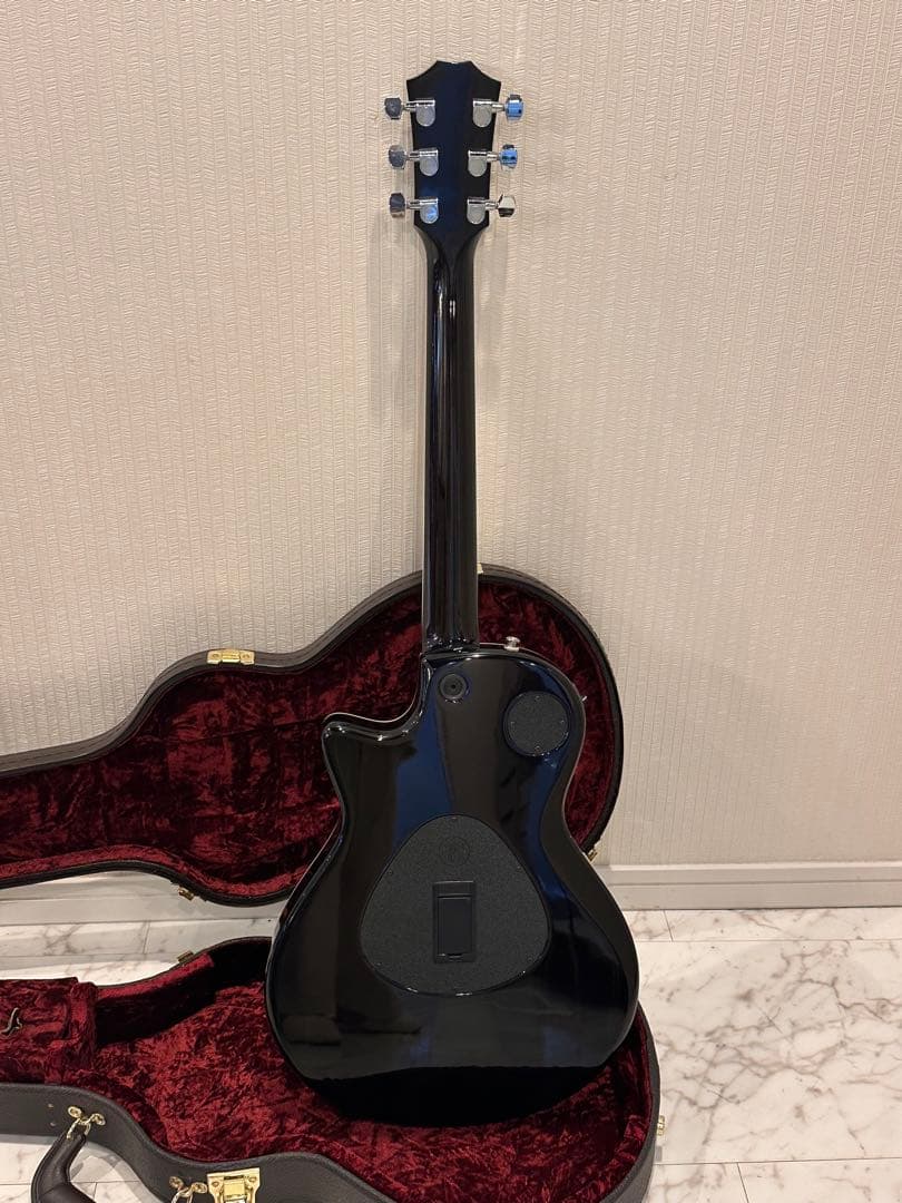 テイラーTaylor T5z Pro GAL