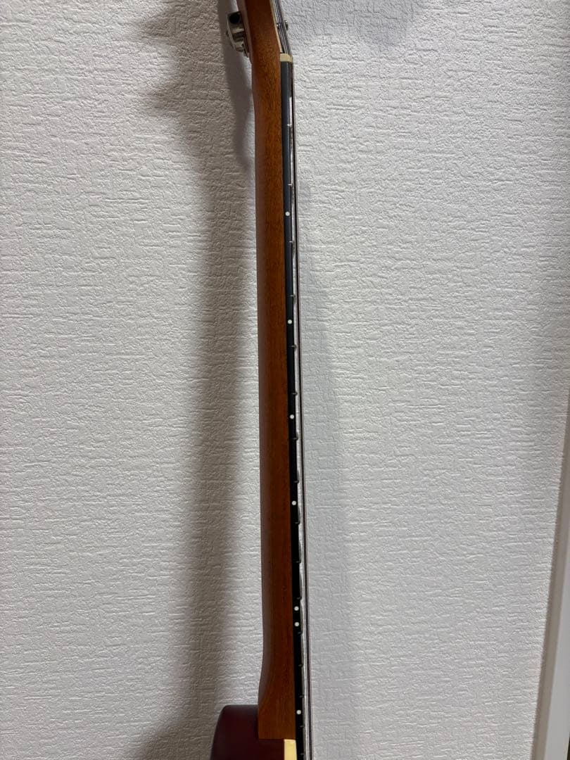 ギター Godin Guitars A6 ULTRA Natural SG