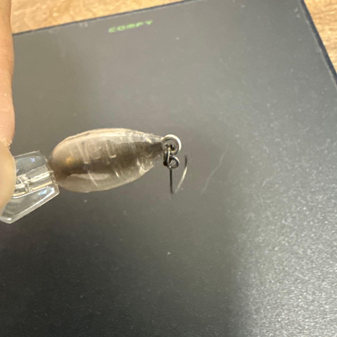 モカSS レアカラー多数有り　5個セット売り