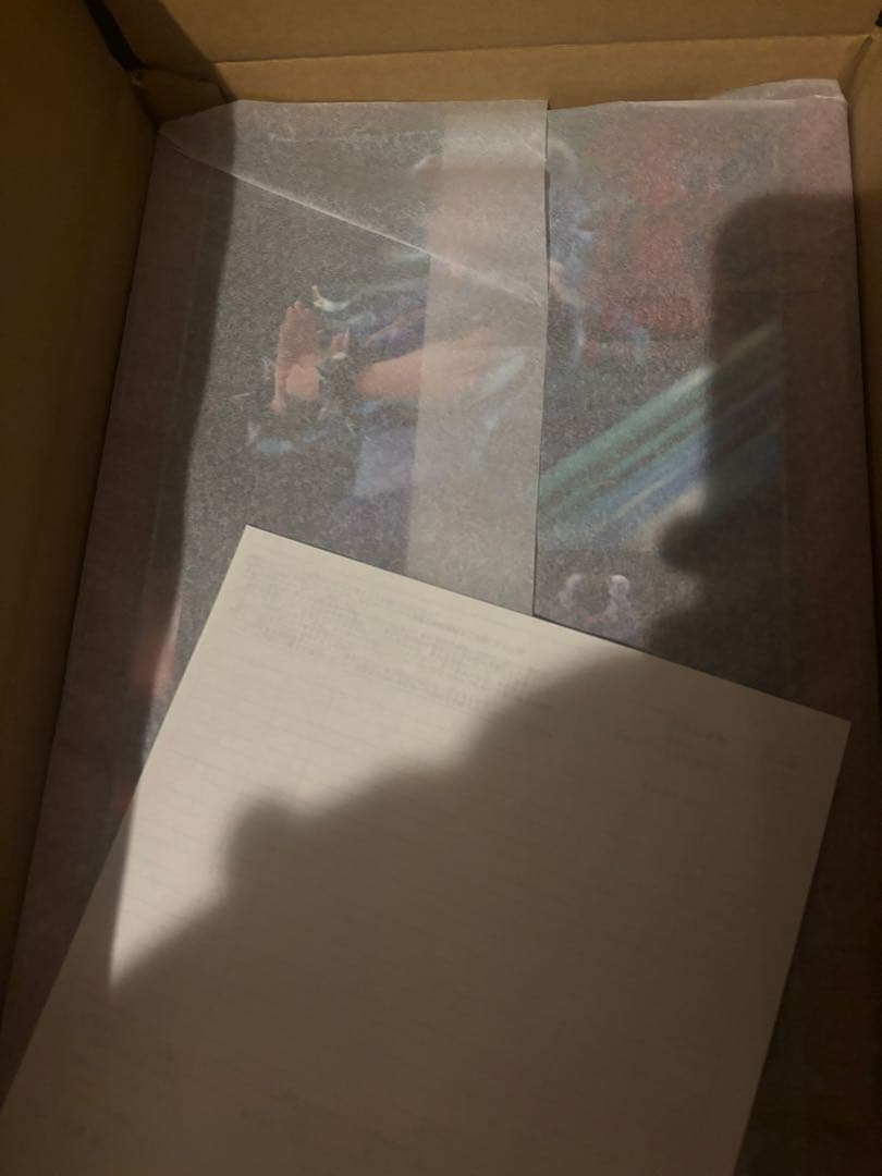 ✨　ストリートファイターシリーズ 春麗 ～Standby～ 1/6 フィギュア✨