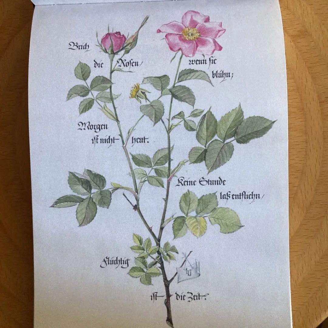 アート・デザイン・音楽 THOUGHTS & SKETCHES 1941-1945