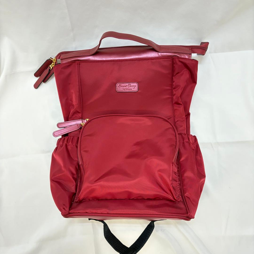 MIZUNO ミズノ エスコートキャリー キャリーケース ダブルキャスター