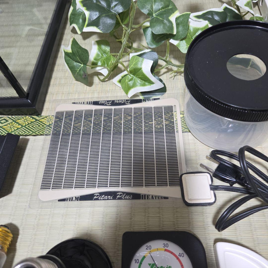 ぴっぴ GEX エキゾテラ グラステラリウム3045 一式セット