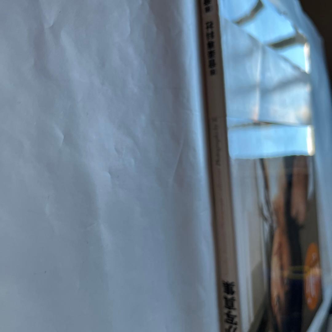 磯山さやか　写真集