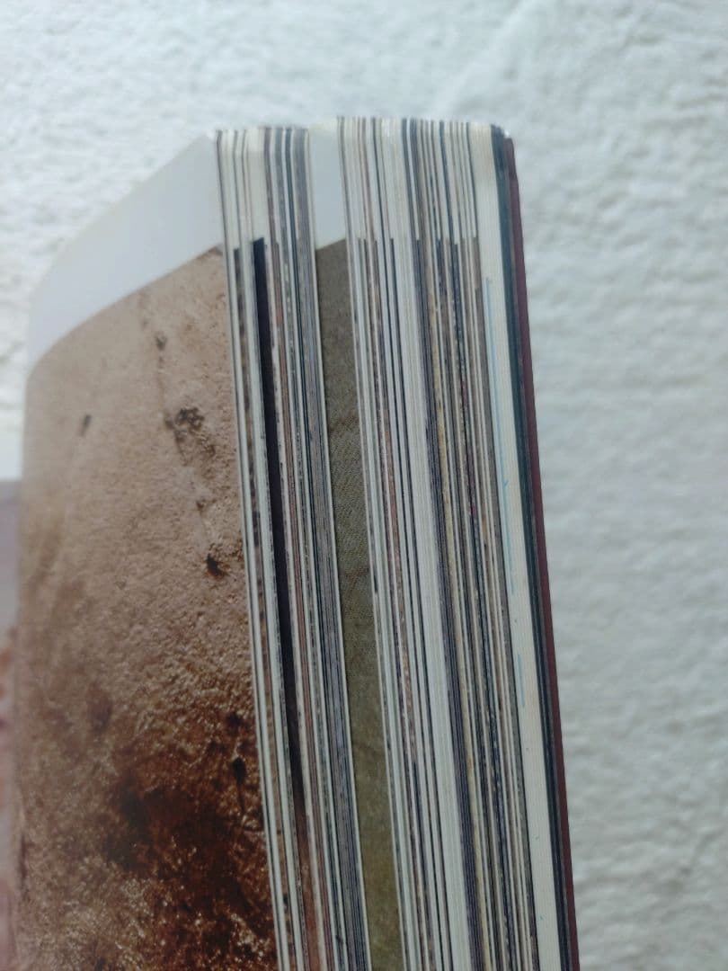 レア! 洞窟芸術 Cave Art ジャン・クロッテ Jean Clottes