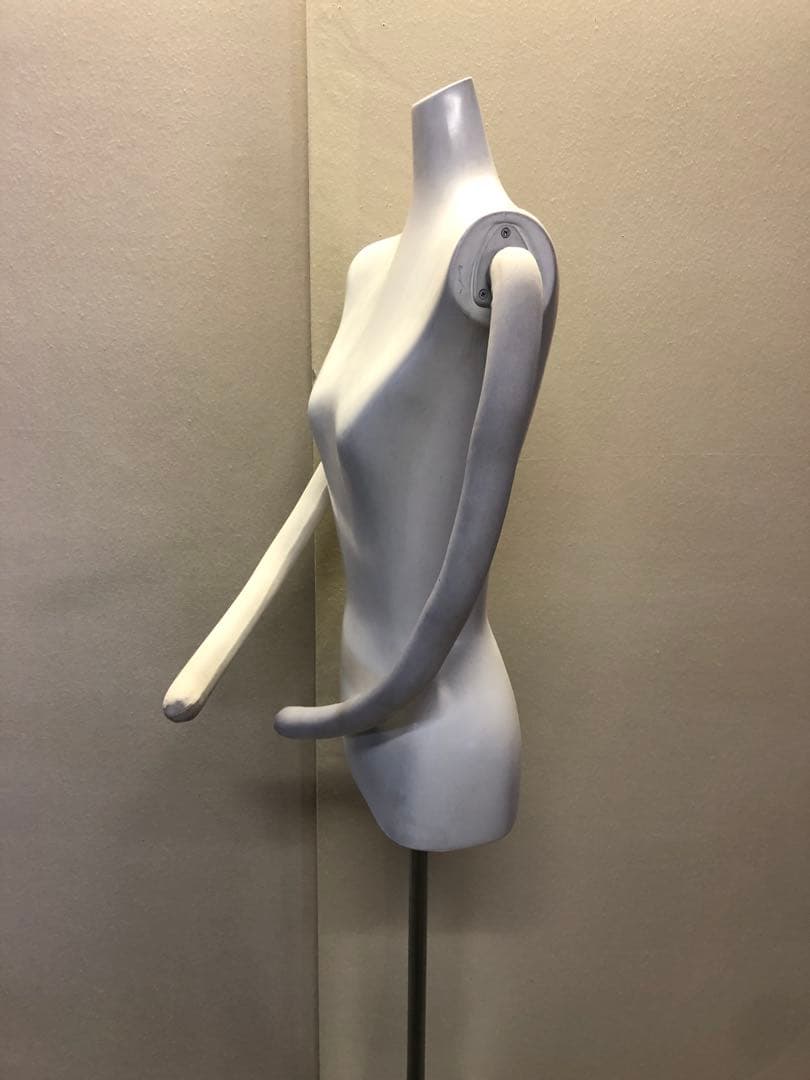 婦人用トルソー・ボディ・マネキン・腕付き