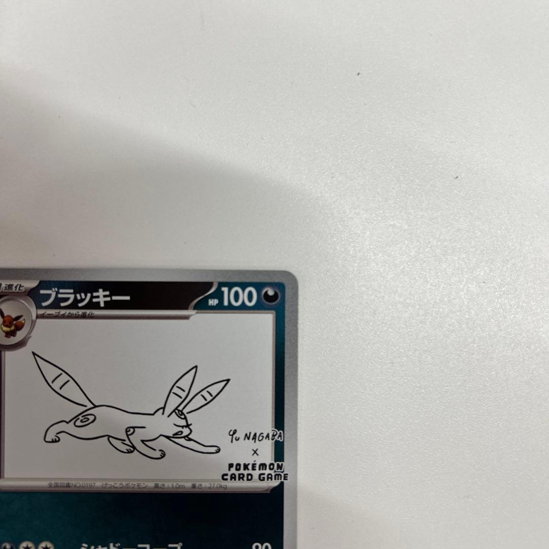 R*様 ブラッキー(YU NAGABA)