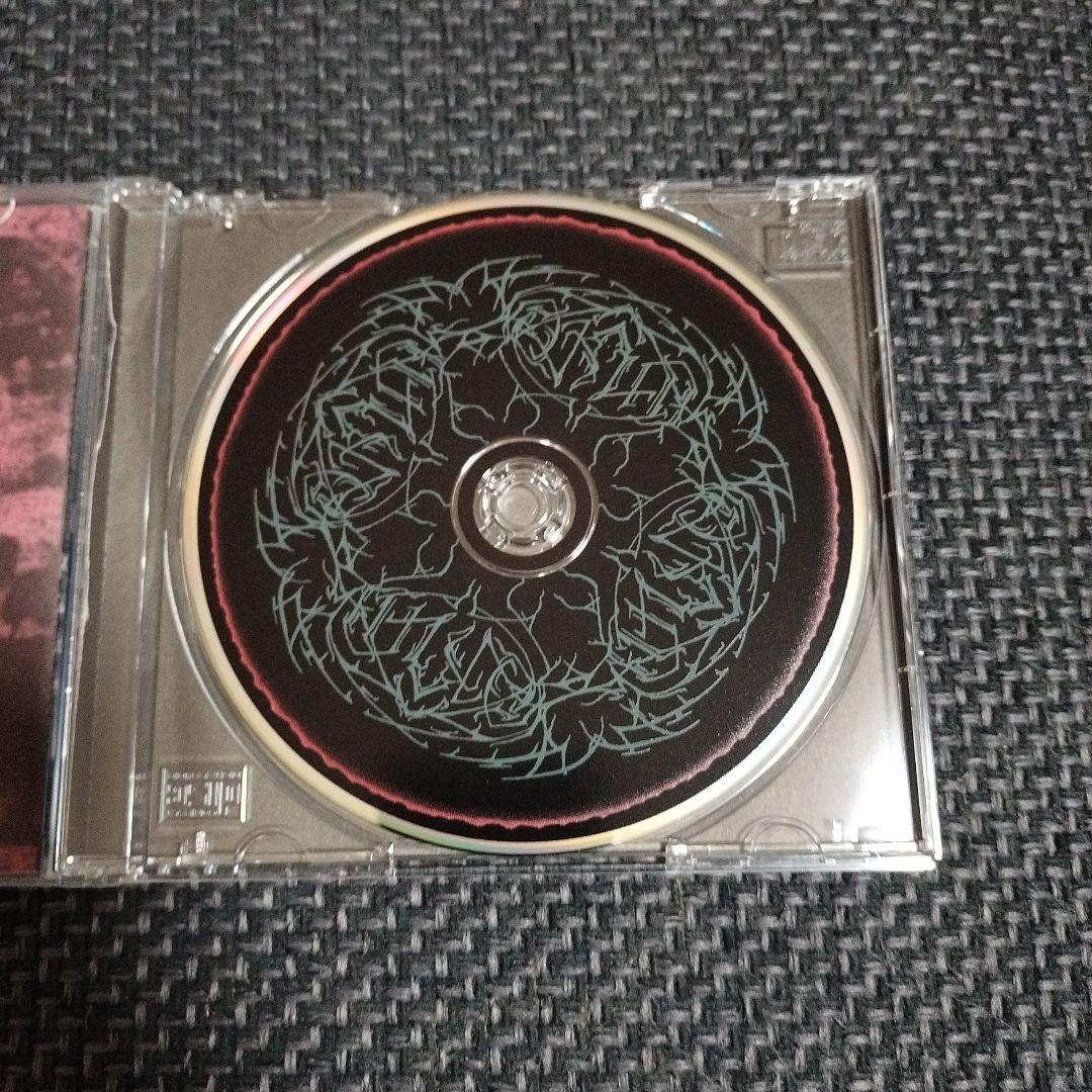 洋楽 Weakling - Dead As Dreams