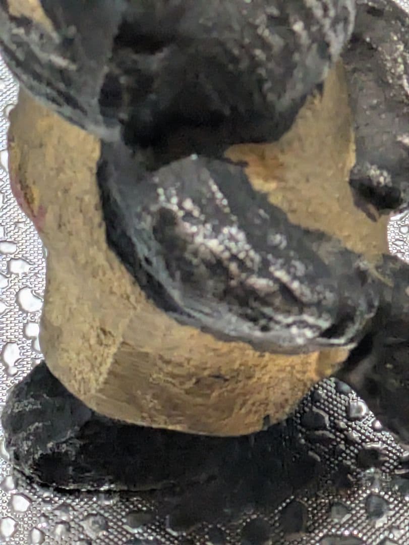 ダヤン　わちふぃーるど 　ペーパーウェイト　置物　文鎮