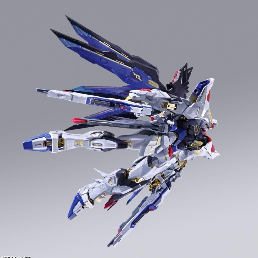 メタルビルドストライクフリーダム＆光の翼オプションセット