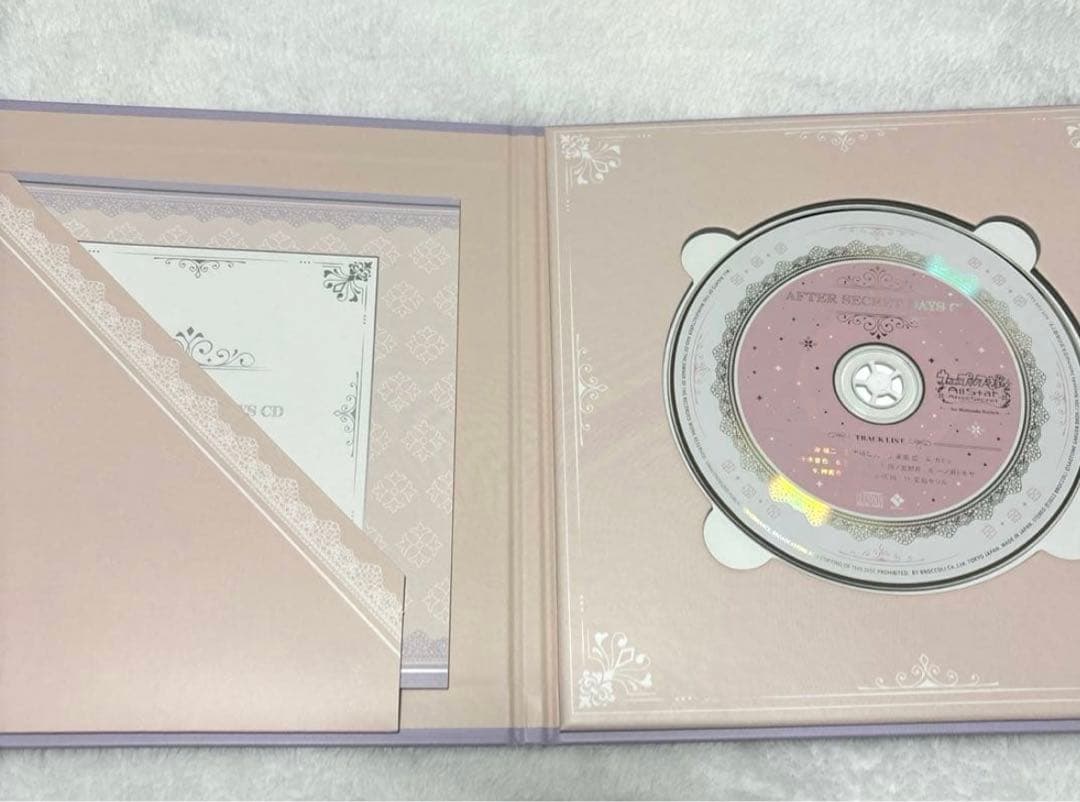 その他 AFTER SECRET DAYS CD