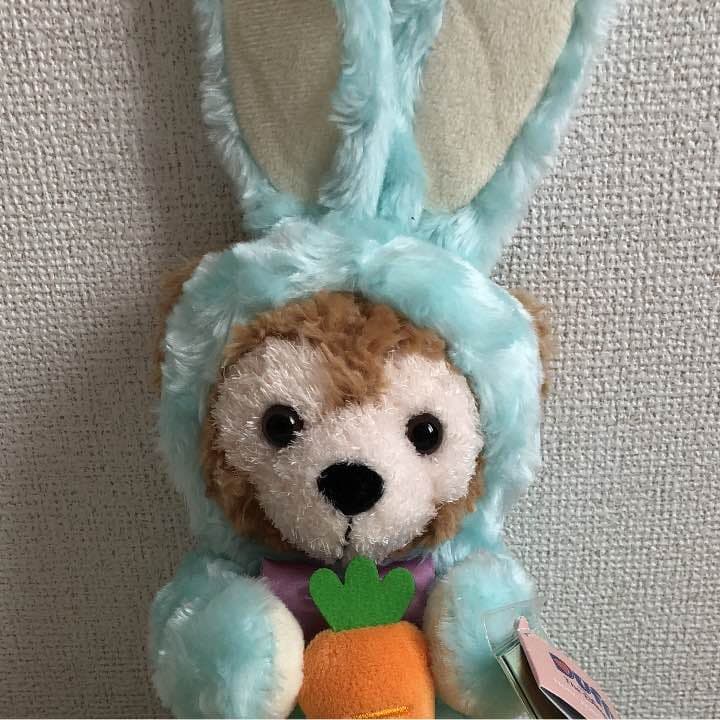 香港ディズニーランド ＊ ダッフィー