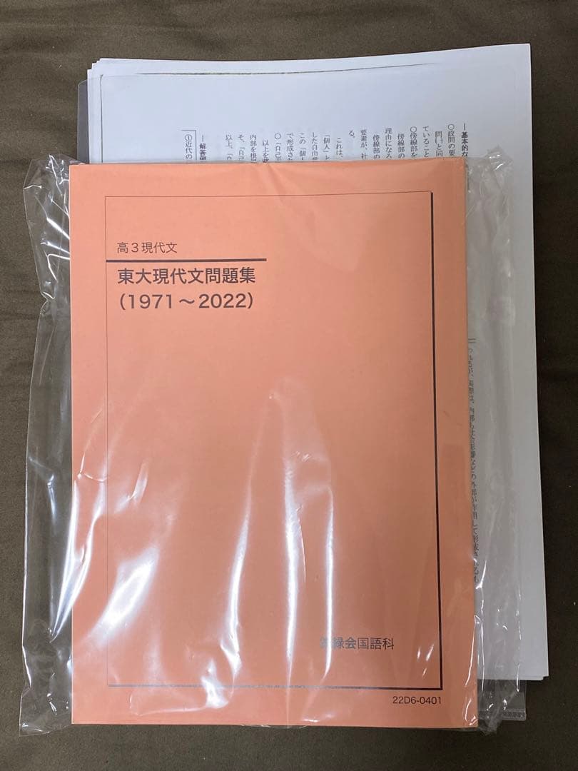 鉄緑会　東大現代文問題集　解答解説付き　漢字練習帳　セット