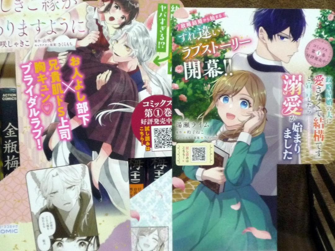 金瓶梅 全巻セット