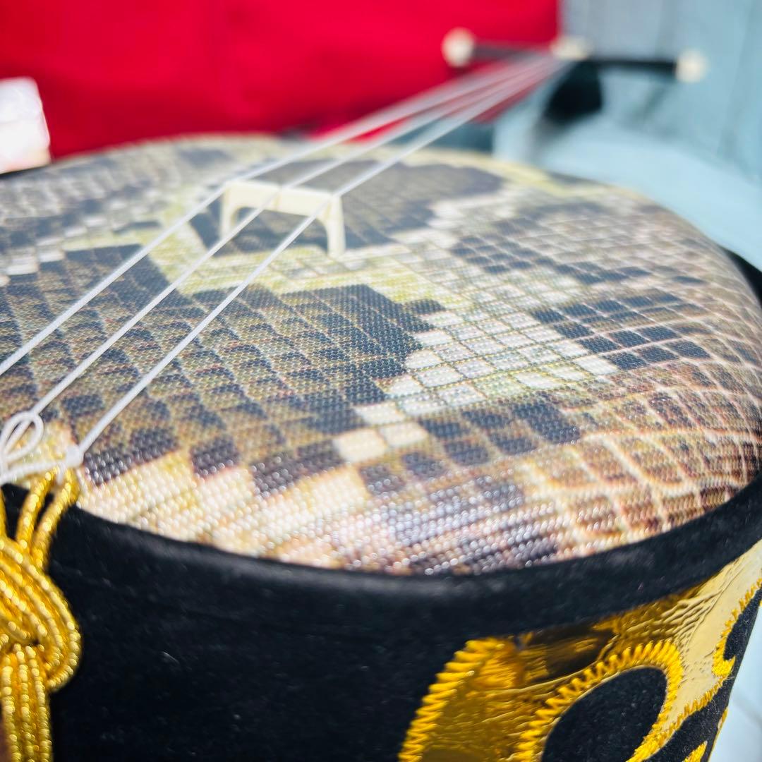 沖縄三線　人工皮　ケース付き　民族楽器　琉球　和楽器　弦楽器　三味線　美品