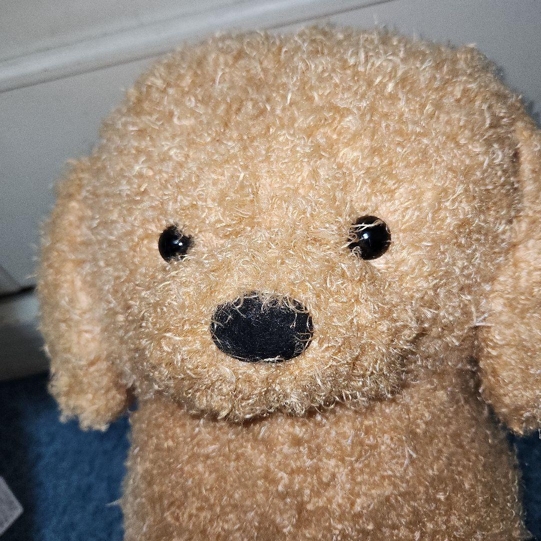 トイプーのモコフィのBIG ぬいぐるみ2点セット