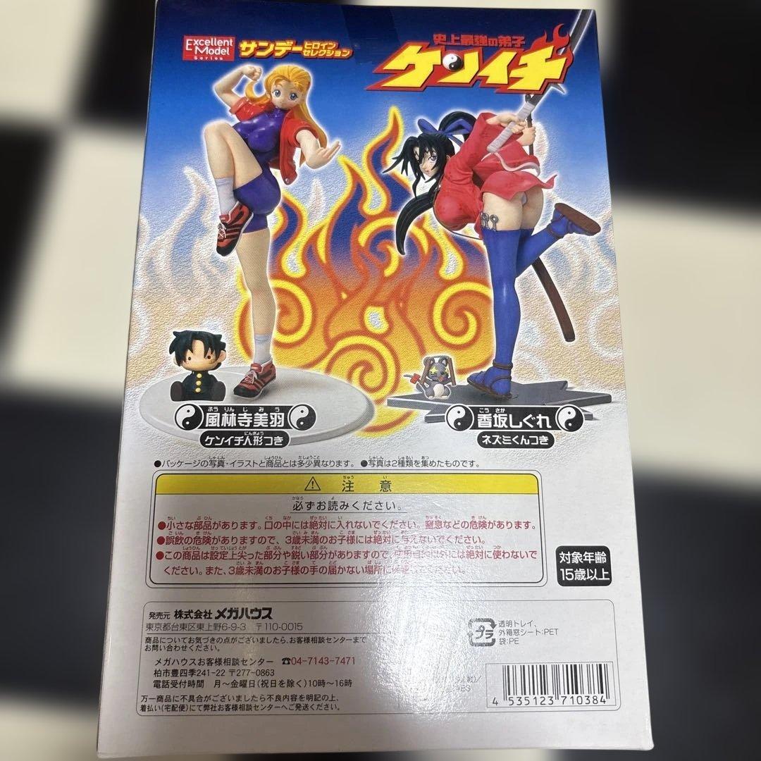 エクセレントモデル 香坂しぐれ •風林寺美羽「史上最強の弟子ケンイチ」