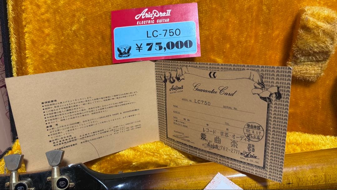 ギター Kevin Hochbaum