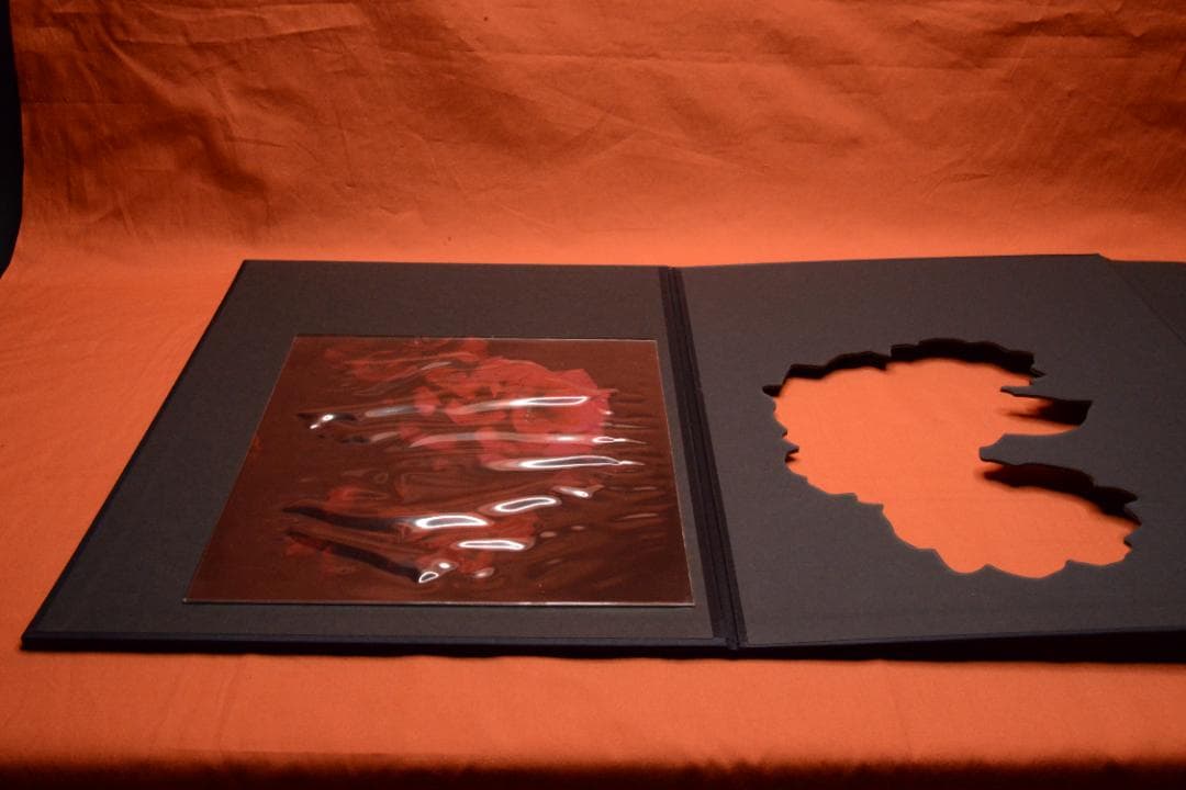 VISIONAIRE 40：DAVID SIMS ROSES　★★値下げしました