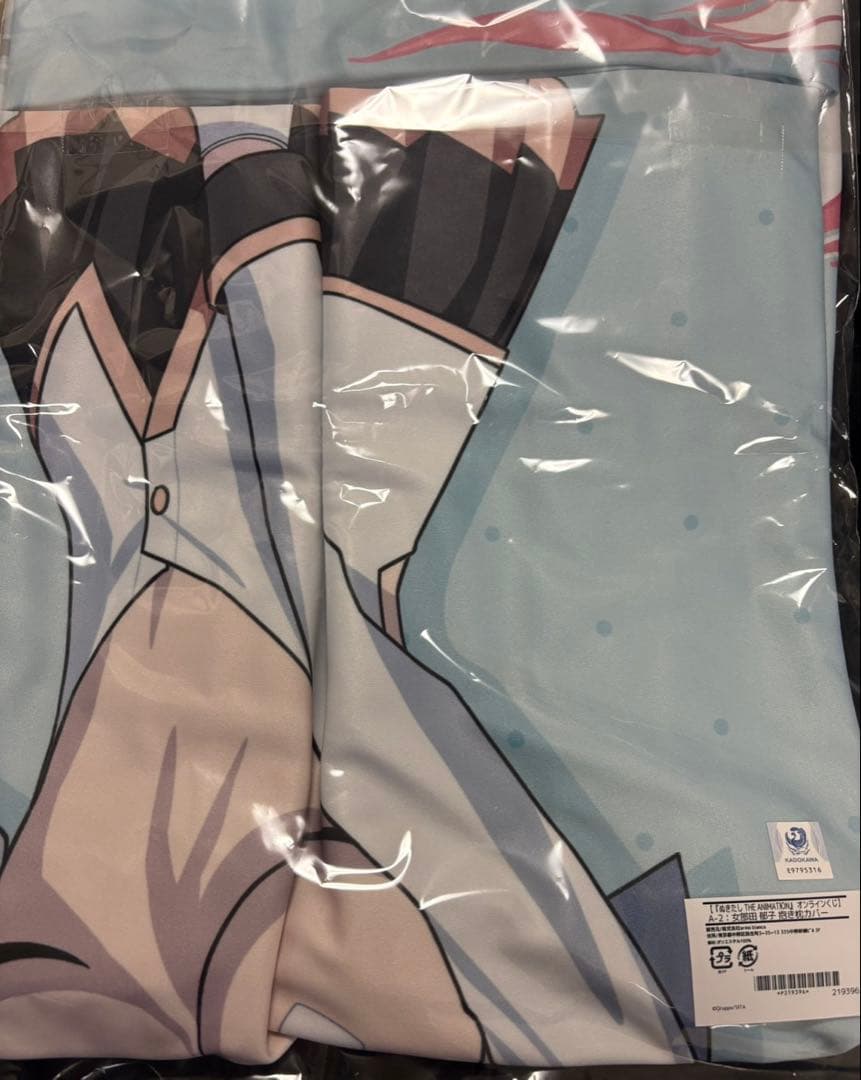 DRAW!DRAW! ぬきたし オンラインくじ 女部田郁子 抱き枕カバー