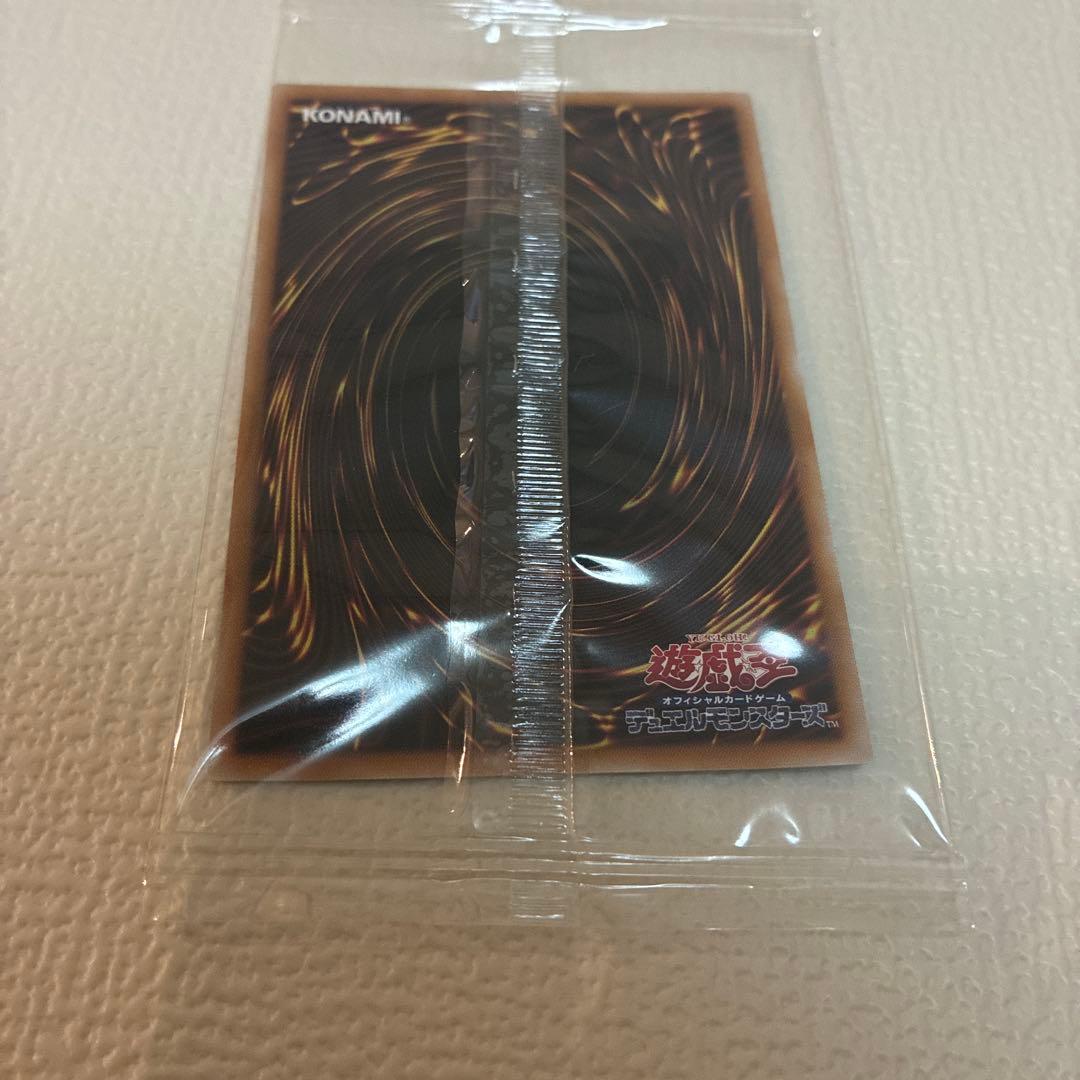 未開封 25thホーリー・ナイト・ドラゴン グレート・モス カオスソルジャー