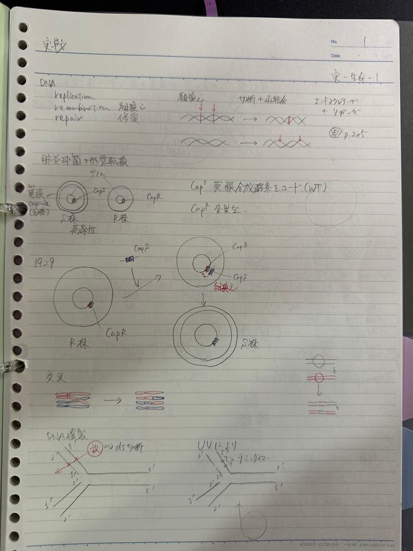 【生命科学フルセット】KALS医学部学士編入生命科学テキスト模試テスト
