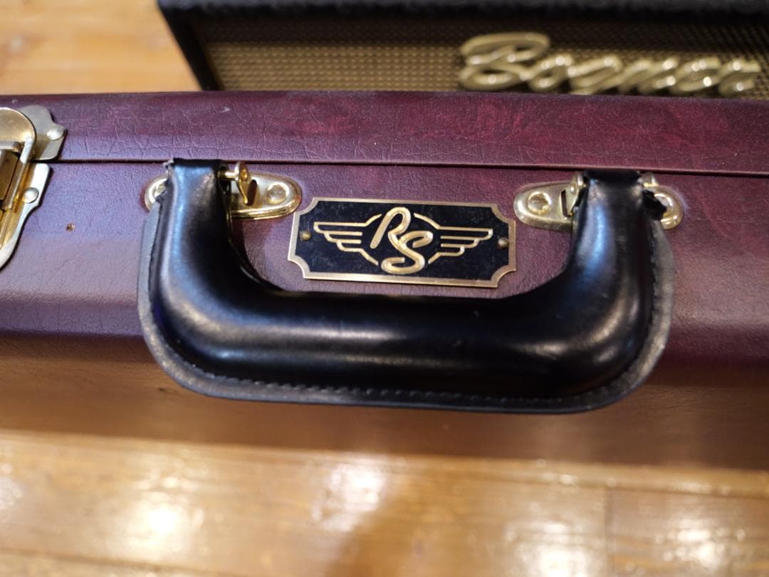 ギター RS Guitarworks Workhorse Special 2017