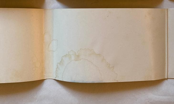 写真集 人間 赤尾敏/宮嶋茂樹