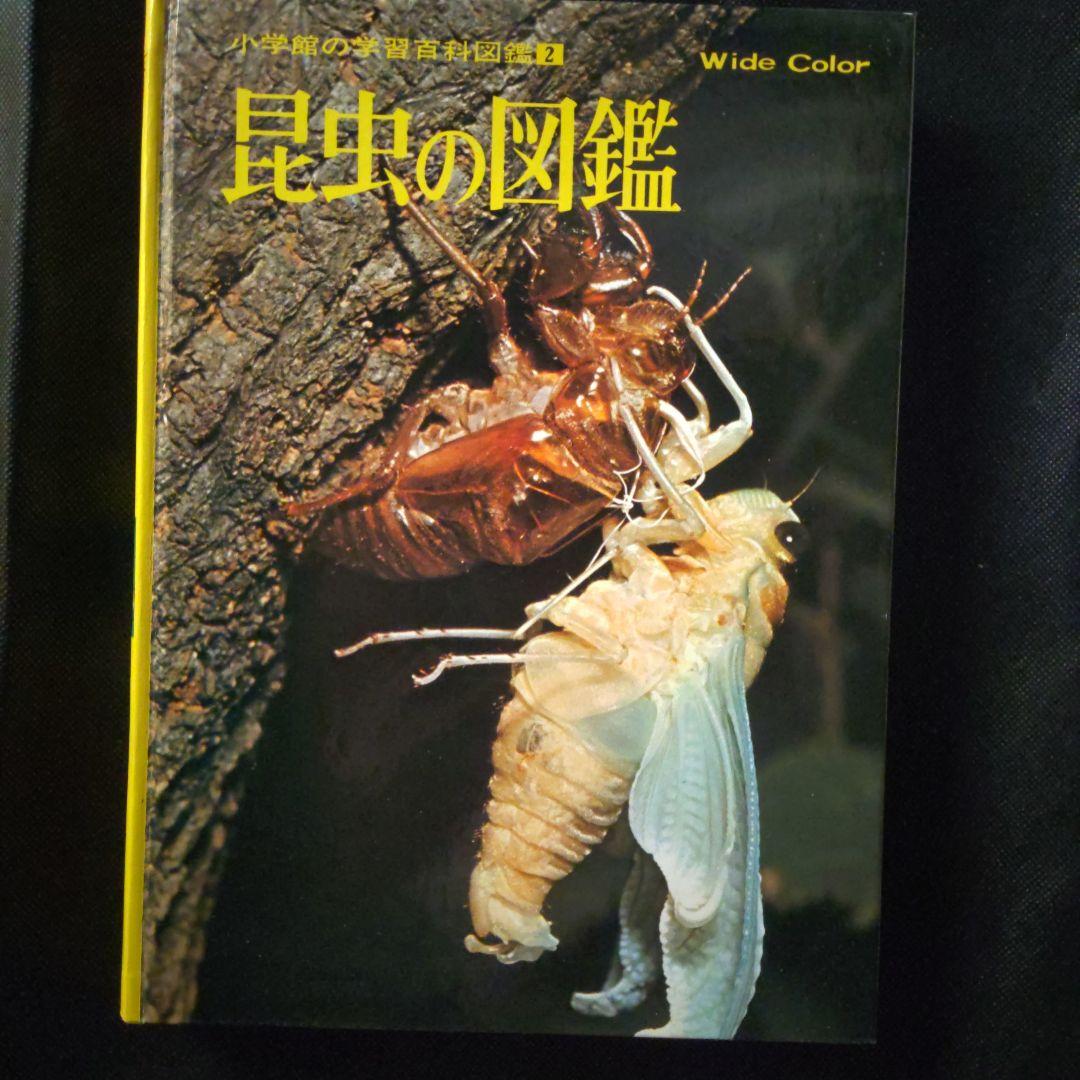 昆虫図鑑付録未使用折りたたみポスター 付海外カブトムシ＆クワガタ昭和58年当時品