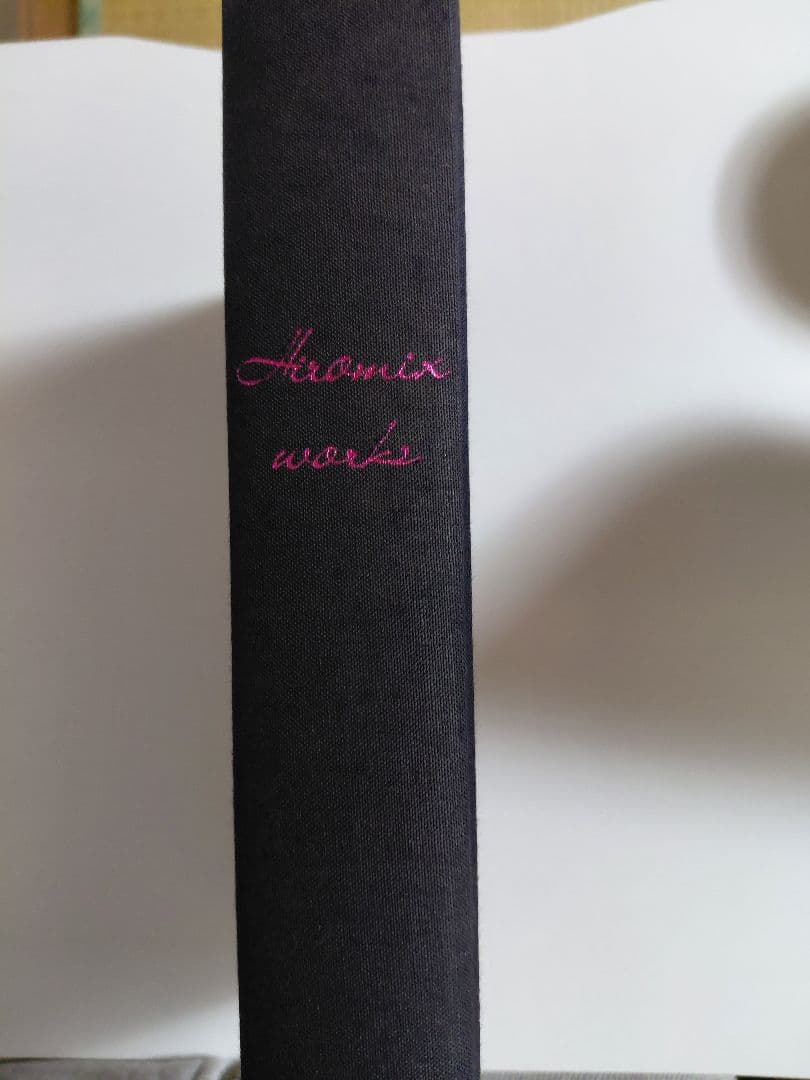 レア!希少!ヒロミックス Hiromix 写真集 ヒロミックス