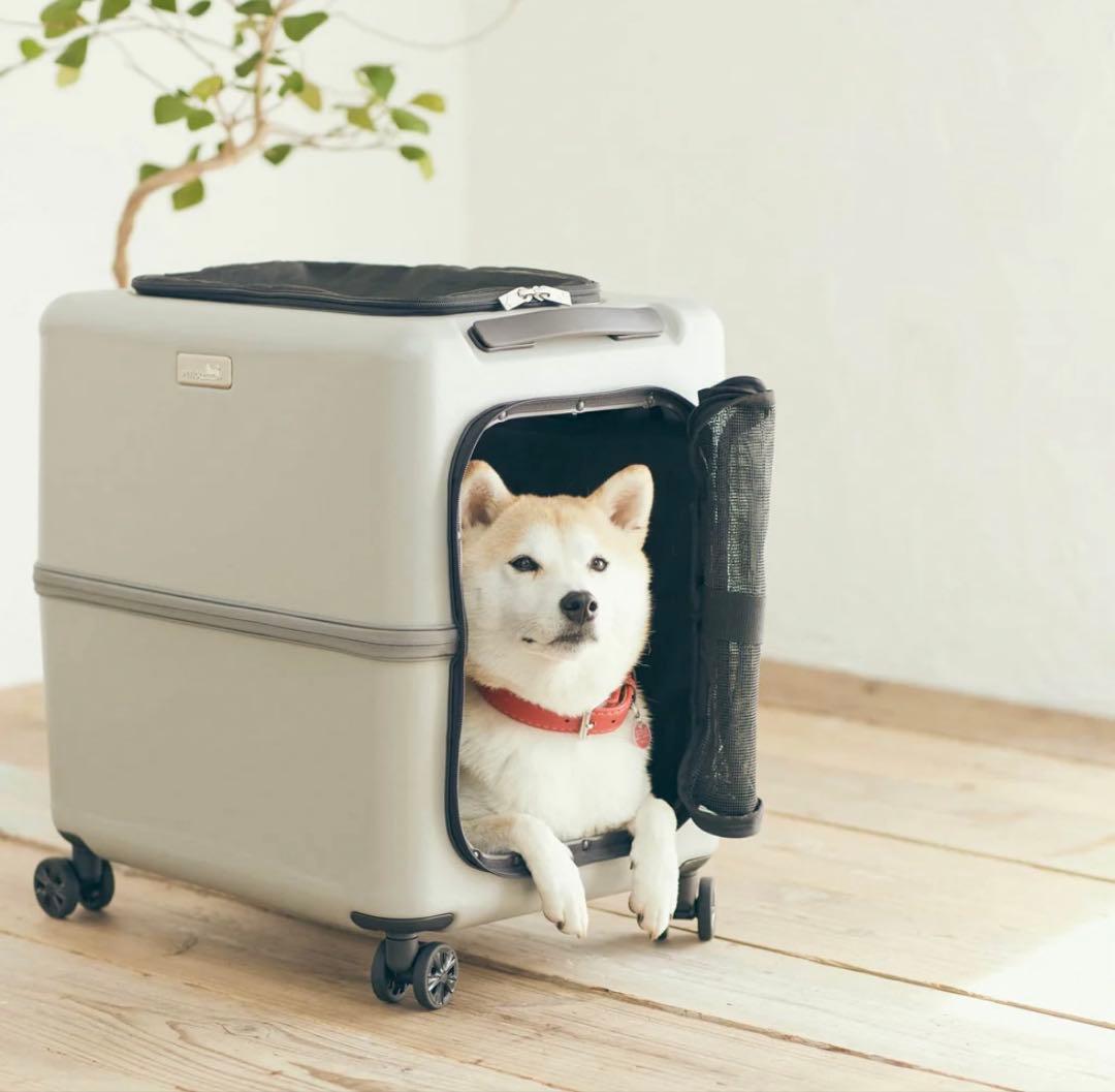 PETICO ペットキャリー　Lサイズ　グレー