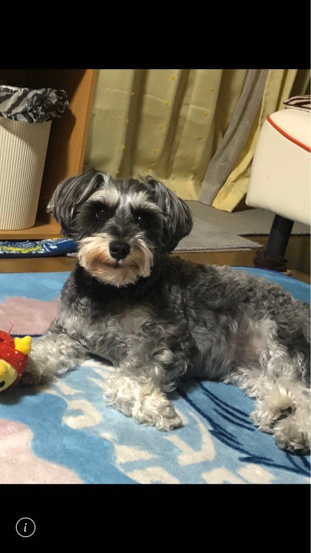 miniさま  確認用　その②