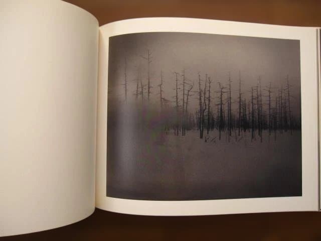 Far Too Close　Martina Hoogland Ivanow