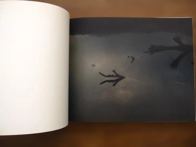 Far Too Close　Martina Hoogland Ivanow