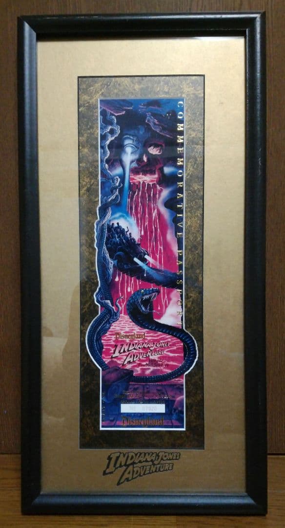 アメリカ　ディズニーランド　インディジョーンズアドベンチャーオープン記念チケット