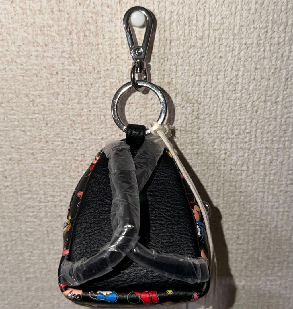 ⭐️日本未発売⭐️WDW ディズニー lougefly キーホルダー