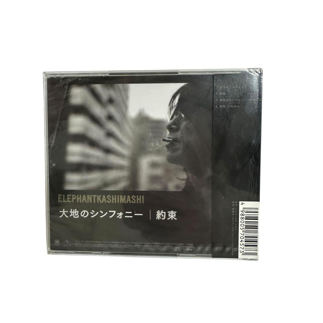 新品 エレファントカシマシ 大地のシンフォニー/約束 通常版