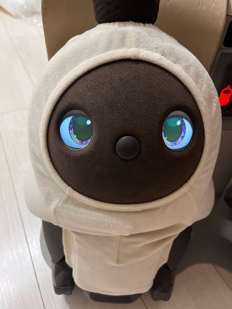 LOVOT 　初代 デュオ　2020年頃購入